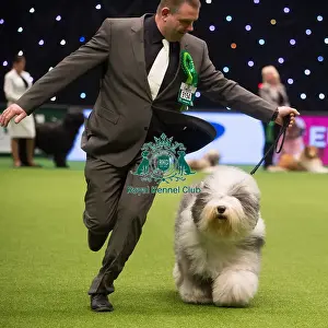 Crufts 2015