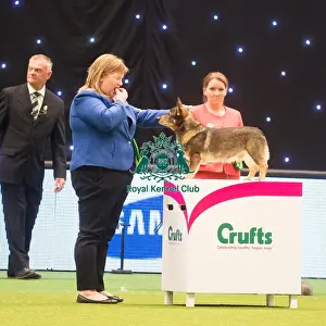 Crufts 2015