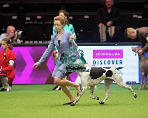 Crufts 2015