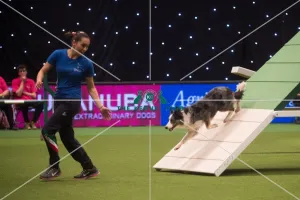 Crufts 2015
