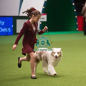 Crufts 2015