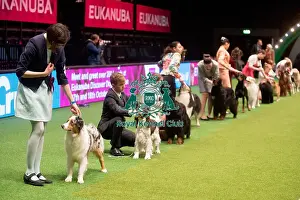 Crufts 2015