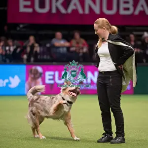 Crufts 2015