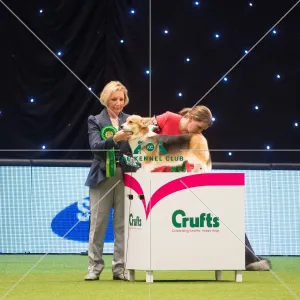 Best in Group, Crufts 2015