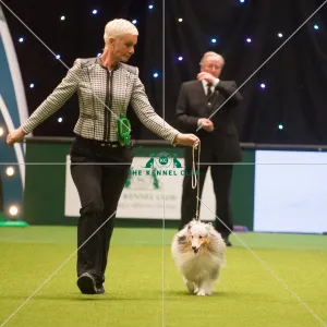 Best in Group, Crufts 2015