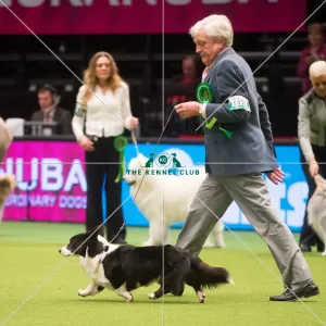 Best in Group, Crufts 2015