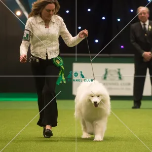 Best in Group, Crufts 2015