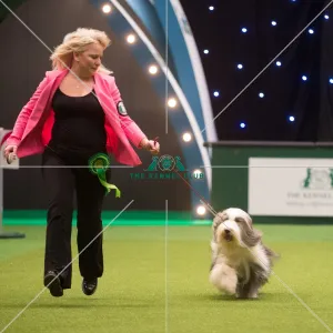 Best in Group, Crufts 2015