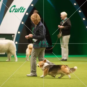 Best in Group, Crufts 2015