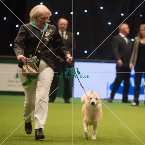 Crufts 2015