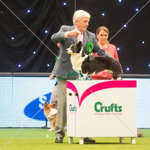 Best in Group, Crufts 2015