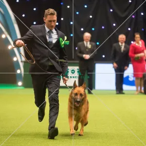 Best in Group, Crufts 2015