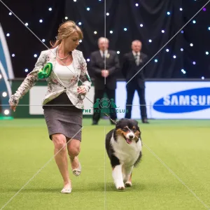 Best in Group, Crufts 2015