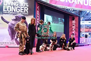 Crufts 2016