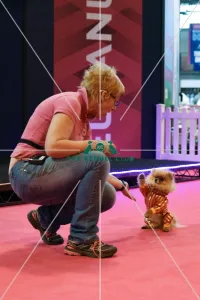 Crufts 2016