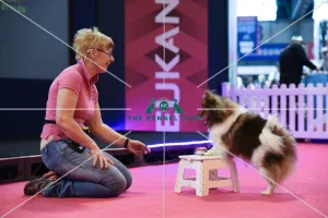 Crufts 2016