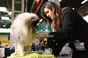 Crufts 2016