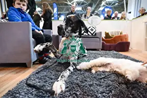 Crufts 2016