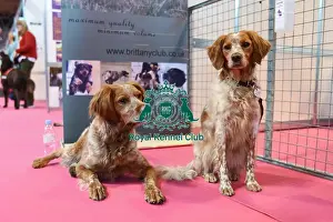 Crufts 2016