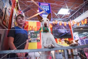 Crufts 2016
