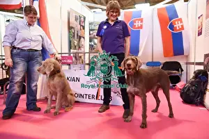 Crufts 2016