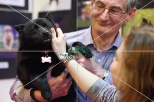 Crufts 2016