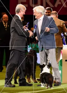 Crufts 2016