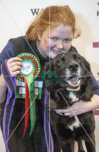 Obedience Winners 2016