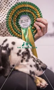 Young Kennel Club