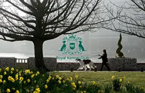 Crufts 2016