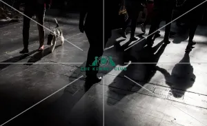 walking dog