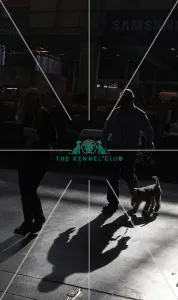 walking dog