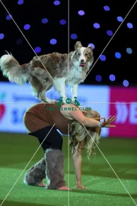Winner of Heelwork to Music competition