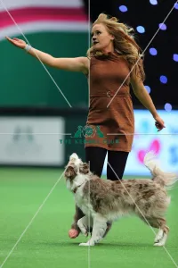 Winner of Heelwork to Music competition