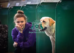 Crufts 2016