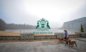Crufts 2016