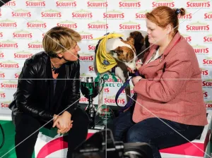 Scruffts Final - winner