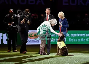 Crufts 2016