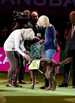 Crufts 2016