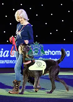 Crufts 2016