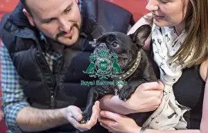 Crufts 2016