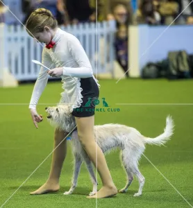Heelwork