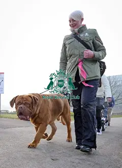 Crufts 2016