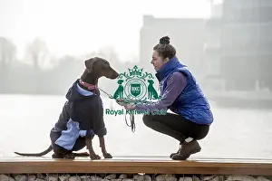 Crufts 2016