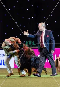 Crufts 2016