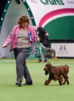 Crufts 2016