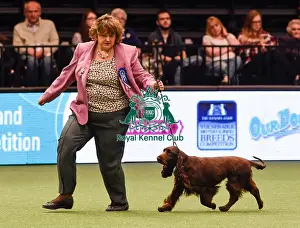 Crufts 2016