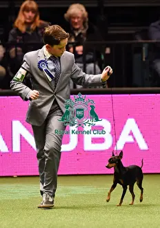 Crufts 2016