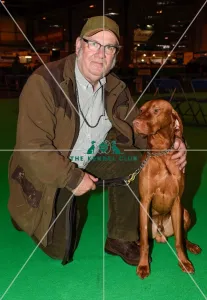 Crufts 2016 Gundog day
