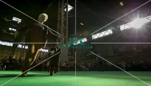 Crufts 2016